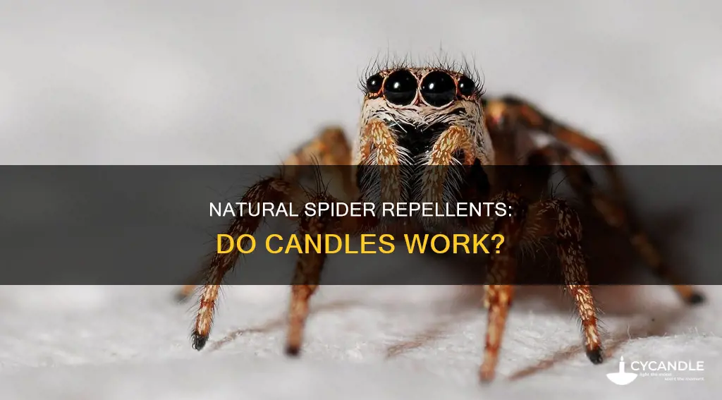 do candles keep spiders away