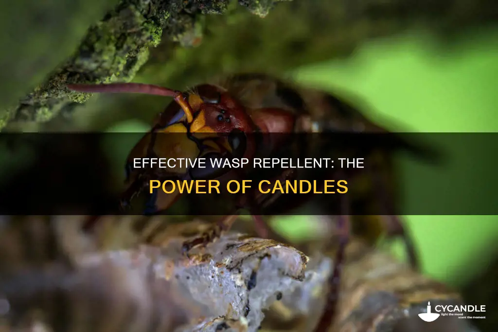 do candles keep wasps away