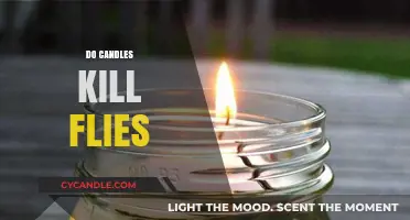 Citronella Candles: Natural Fly Repellent or Killer?