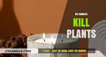 Candles and Plants: A Lethal Combination?