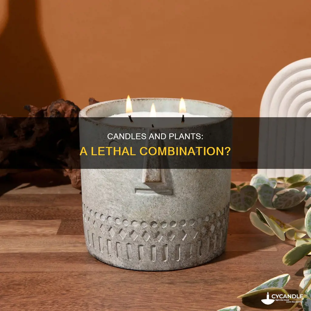 do candles kill plants