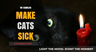 Can Candles Harm Cats? Understanding the Risks for Feline Health
