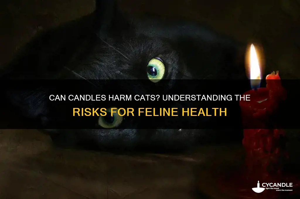 do candles make cats sick