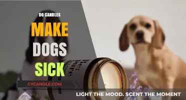 Can Candles Harm Dogs? Understanding Pet Safety and Aromatic Risks