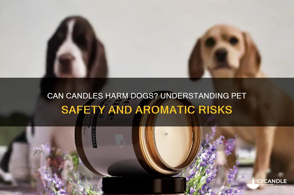 do candles make dogs sick