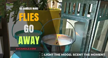 Candles and Flies: Do They Really Keep Pesky Insects Away?
