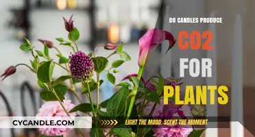 Candlelight and Plants: CO2 Production Explored