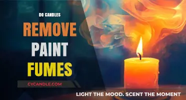 Candles and Paint Fumes: A Safe Solution?