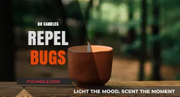 Citronella Candles: Natural Bug Repellent or Just a Myth?
