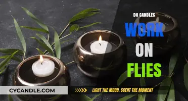 Candles vs. Flies: Do They Really Keep These Pests Away?