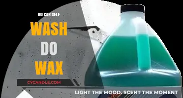 Revive Your Ride: The Ultimate Guide to Car Self-Wash and Waxing