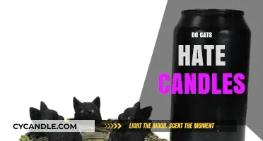 Candles and Cats: A Safe Combination?