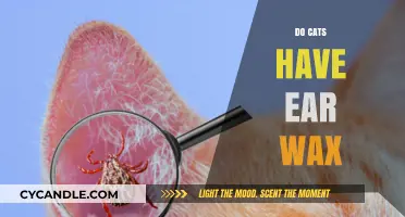 The Secret Life of Feline Ears: Do Cats Have Ear Wax?