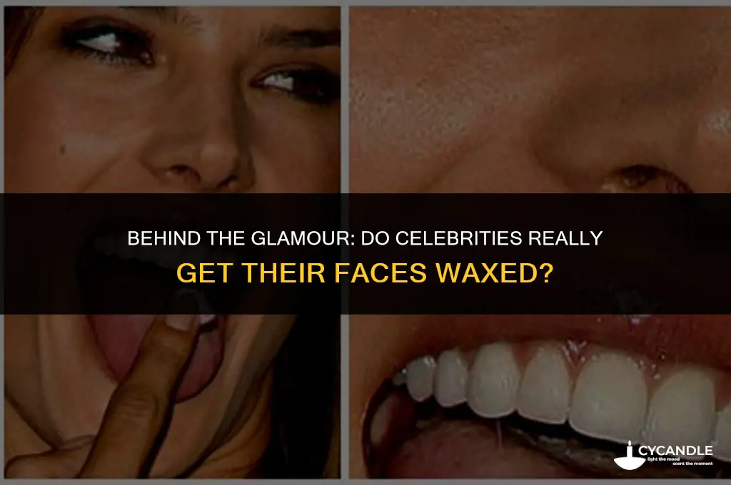 do celebrities get their face waxed