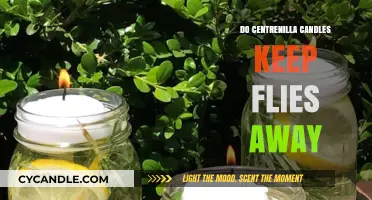 Natural Fly Repellent: Citronella Candles to the Rescue