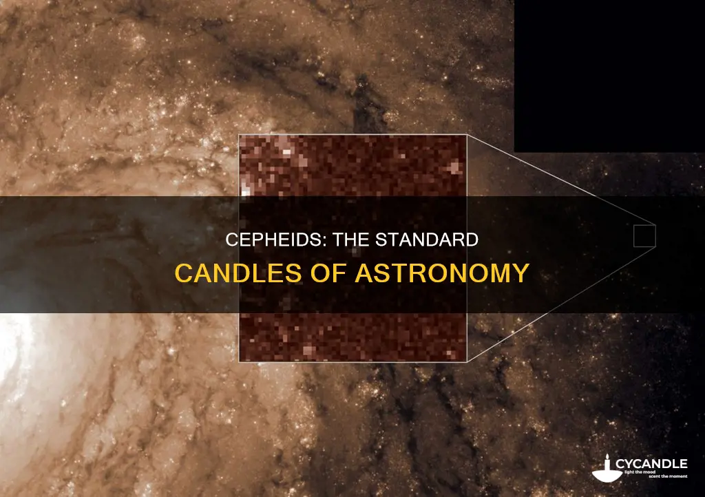 do cepheids serve as standard candle