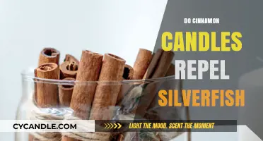 Cinnamon Candles: Repelling Silverfish or Just a Myth?