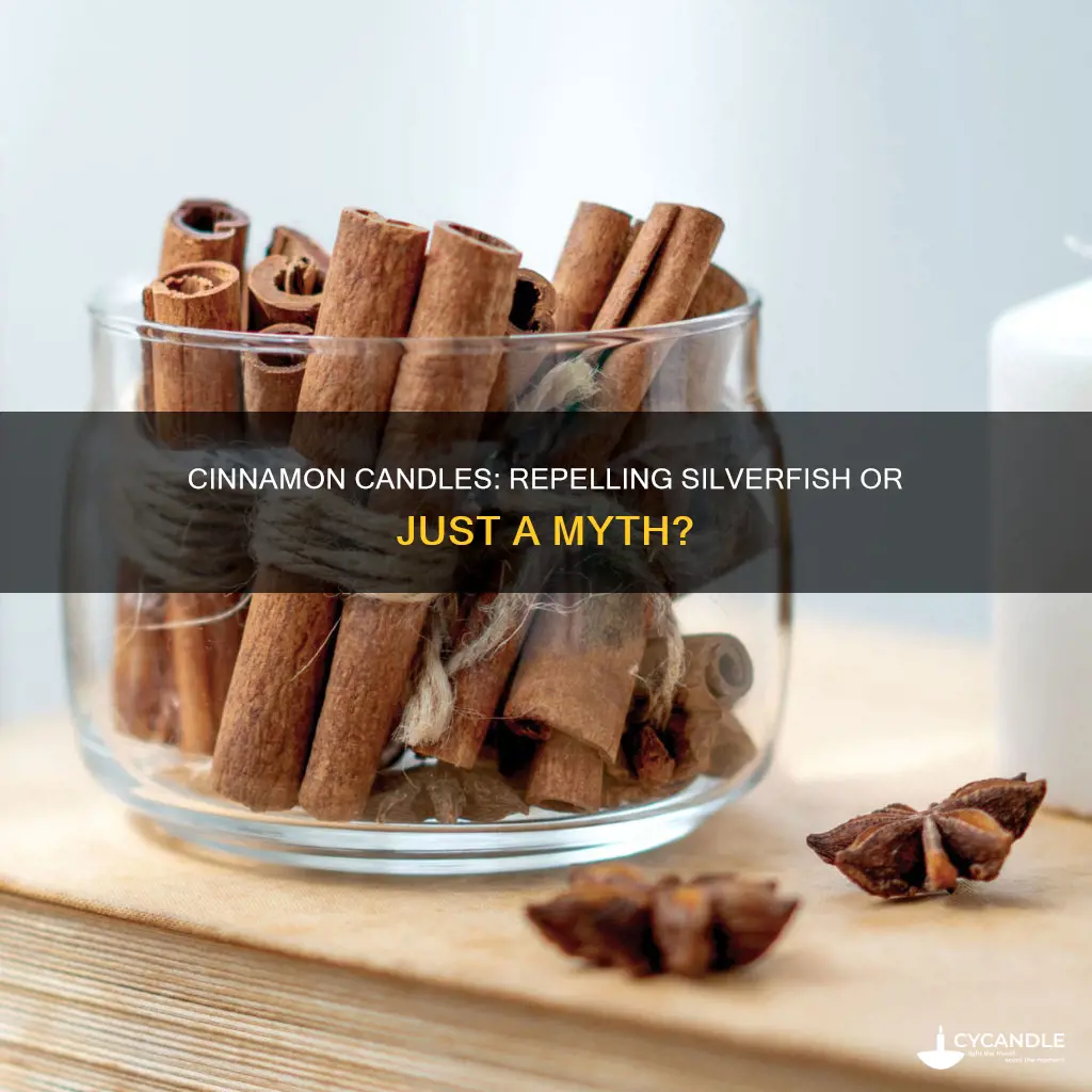 do cinnamon candles repel silverfish