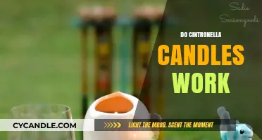 Do Citronella Candles Repel Mosquitoes? Separating Fact from Fiction