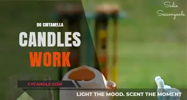 Do Citronella Candles Repel Mosquitoes? Uncovering the Truth