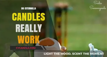Do Citronella Candles Repel Mosquitoes? Separating Fact from Fiction