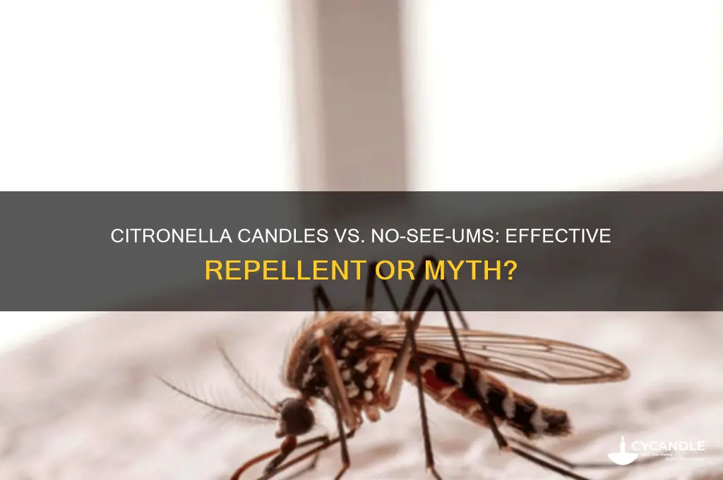 do citranella candles work on noseeums