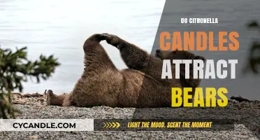 Citronella Candles: Do They Attract Bears?