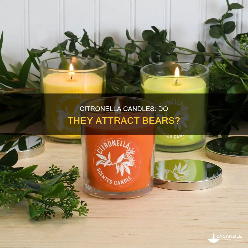 do citronella candles attract bears