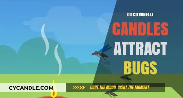 Citronella Candles: Bug Repellent or Attractant?