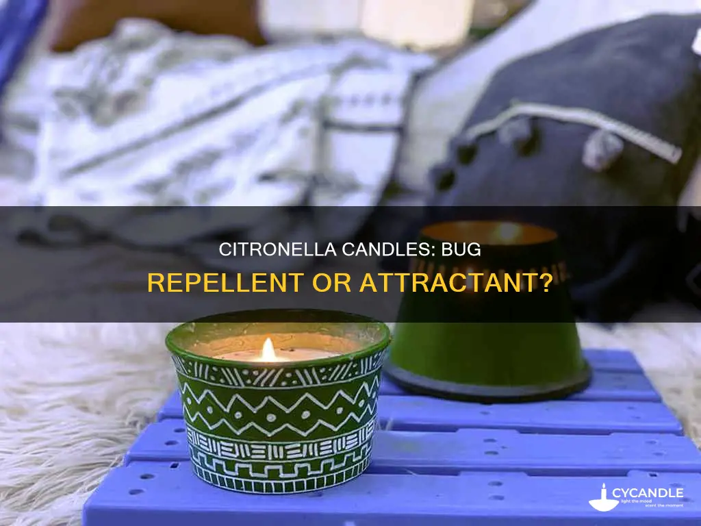 do citronella candles attract bugs