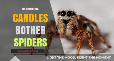 Citronella Candles: Spider Repellent or Irritant?