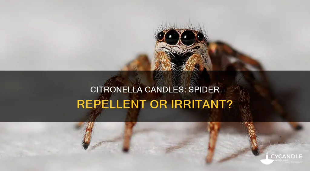 do citronella candles bother spiders