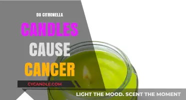 Citronella Candles: Cancer Risk or Safe Repellent?