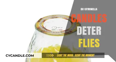 Citronella Candles: Effective Fly Deterrent or Myth?
