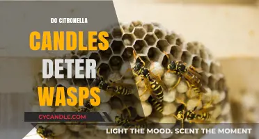 Citronella Candles: Effective Wasp Deterrent or Not?