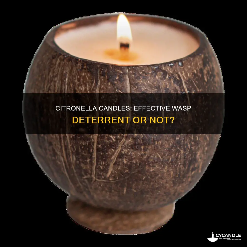 do citronella candles deter wasps