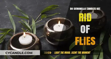 Citronella Candles: Effective Fly Repellent or Just a Pleasant Scent?
