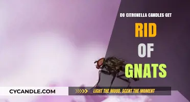 Citronella Candles vs. Gnats: Effective Solution or Just a Myth?