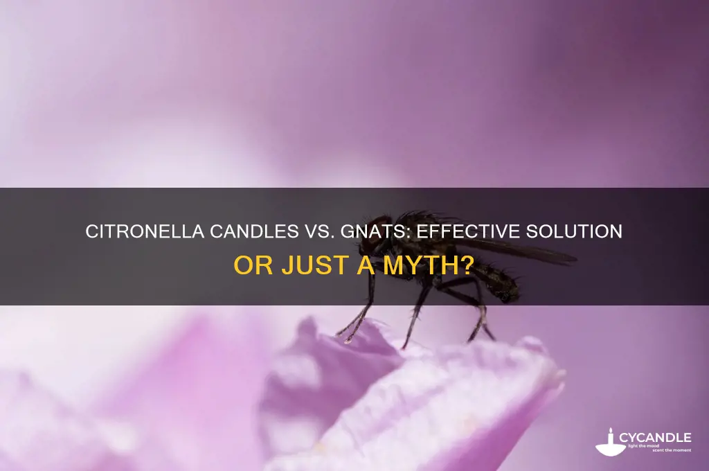 do citronella candles get rid of gnats