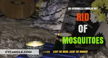 Do Citronella Candles Repel Mosquitoes? Unveiling the Truth