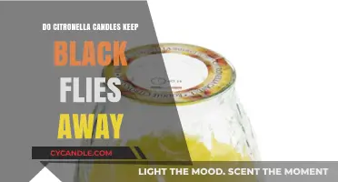 Citronella Candles: Effective Repellent Against Black Flies?