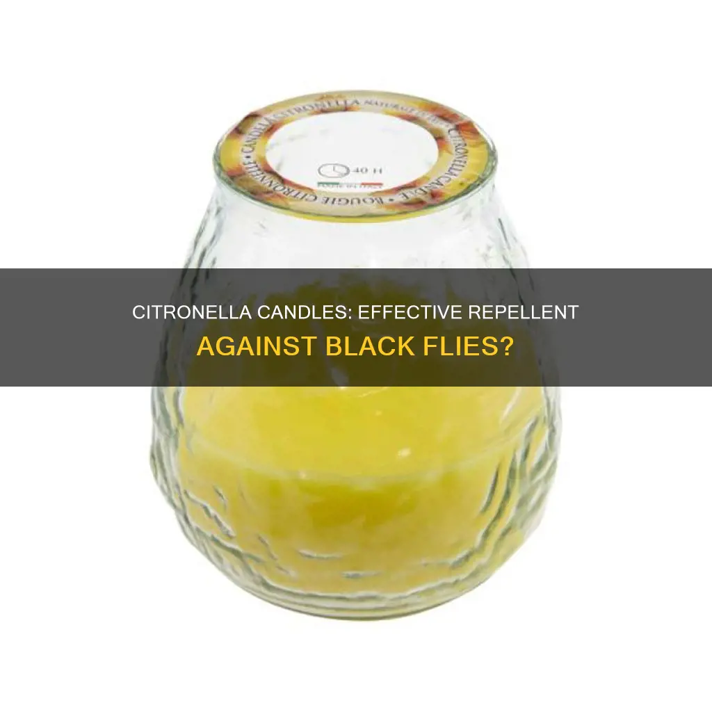 do citronella candles keep black flies away