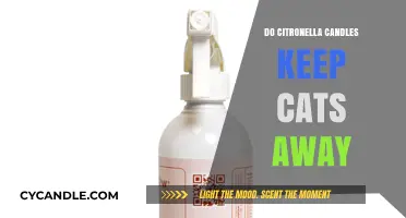 Citronella Candles: Effective Cat Repellent or Not?