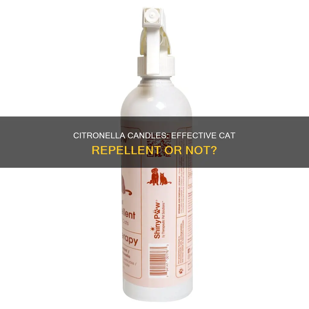 do citronella candles keep cats away