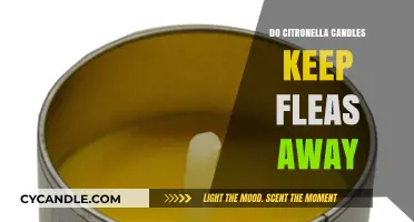 Citronella Candles: Effective Flea Repellent or Myth?