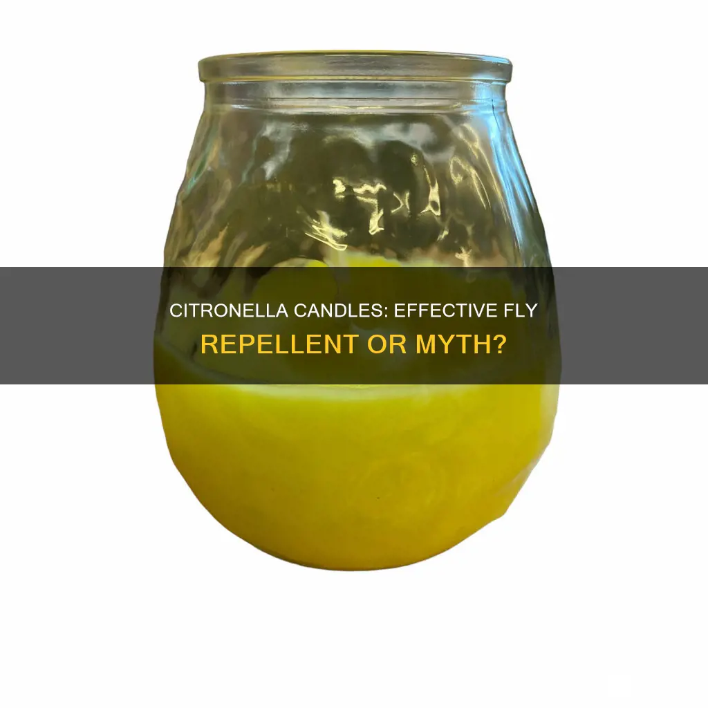 do citronella candles keep flies away