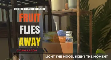 Citronella Candles: Effective Fruit Fly Repellent?