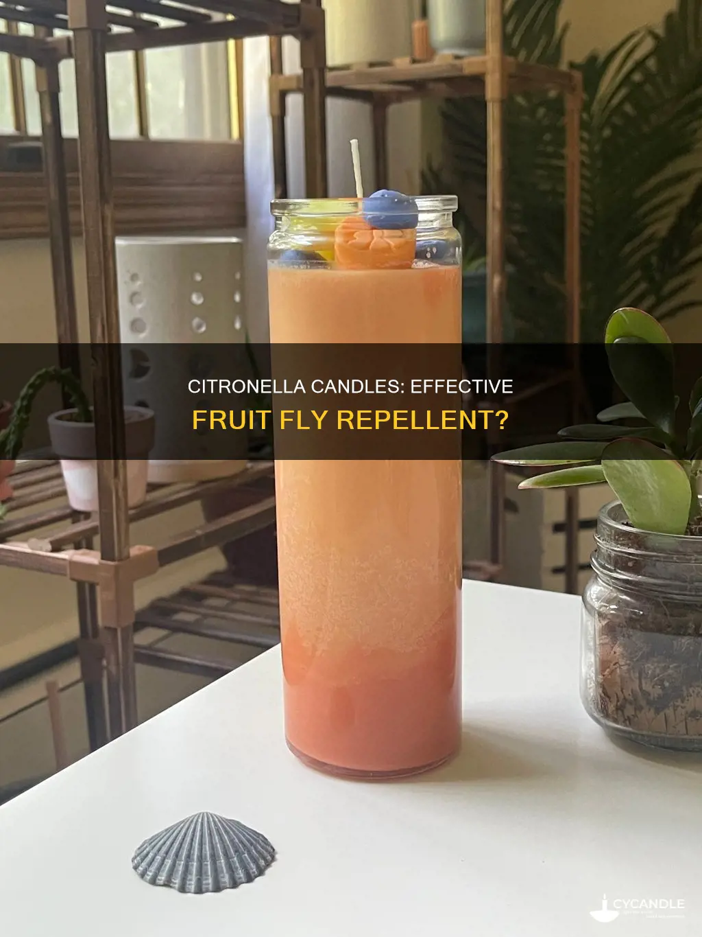 do citronella candles keep fruit flies away