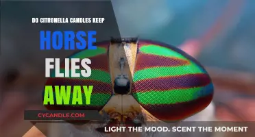 Citronella Candles: Effective Horse Fly Repellent?