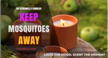 Citronella Candles: Effective Mosquito Repellent or Myth?